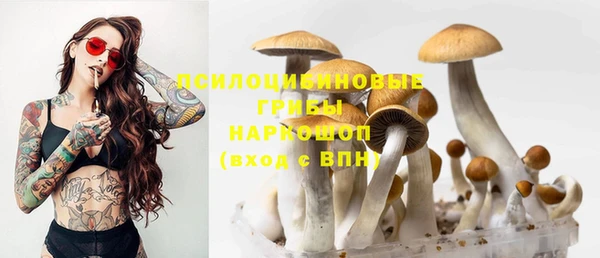 кокс Корсаков