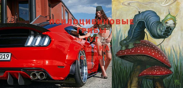 кокс Корсаков