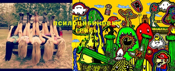 кокс Корсаков