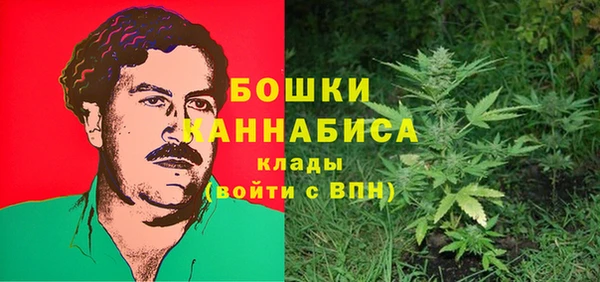 стаф Краснослободск
