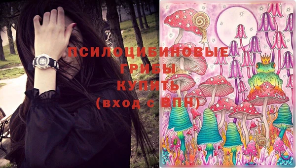 скорость Коряжма