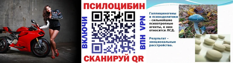 Купить где  Бокситогорск  Галлюциногенные грибы Magic Shrooms 
